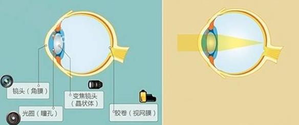 怎么佩戴老花鏡？驗光 品牌 質(zhì)量 保養(yǎng)一個都不能少